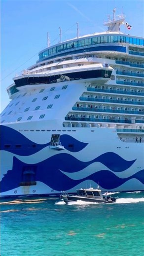 Enchanted Princess 🛳️ #like #share #comment #subscribe #cruiseship #cruise #vacation #shorts #short