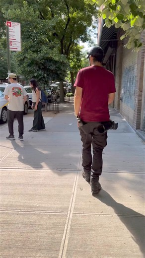 586K views · 10K reactions | ADOPTABLE: Patches, Hound mix, E 4th &...