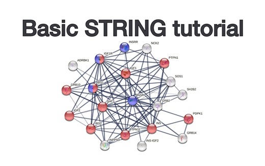 Basic STRING tutorial: Protein query, network views, parameters, and enrichment