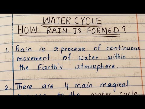 How Rain is formed | Water Cycle Essay