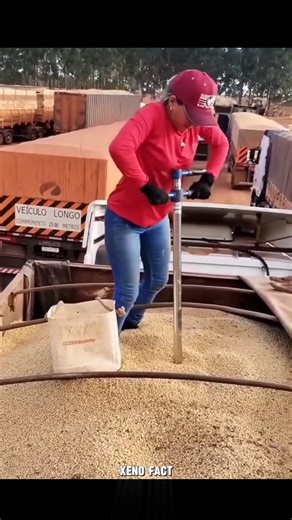 Grain Sampler Rod 🌾🤯