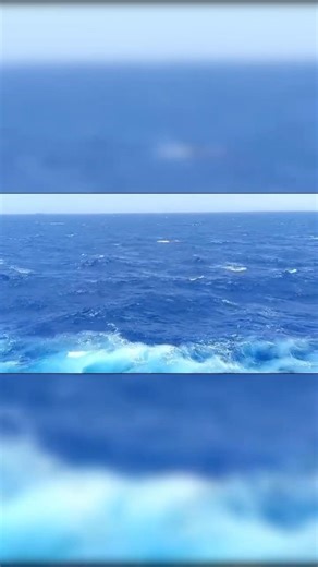 Life with a mariner 💙 #sailorlife #merchantnavy #seafarer #seafarerlife #lifeatsea #marinerwife