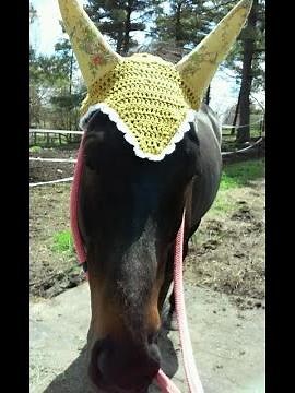 how to crochet a lacy horse fly bonnet pt 2