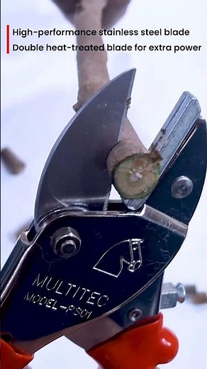 PSA-01 Anvil Pruning Shear Review | Best Tool for Tough & Dry Branches 🌿✂️