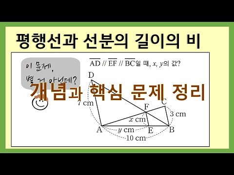 [Middle School 2nd Grade Math] Ratios of Parallel Lines and Line Segments in a Triangle / Underst...