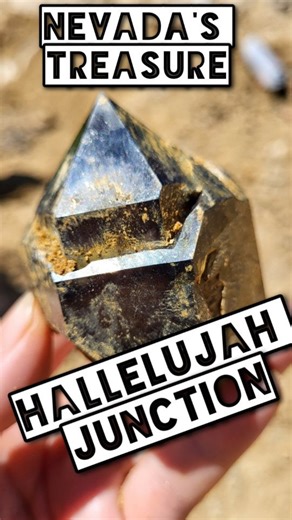 Undeniably one of the most renowned scepter localities in the world, #HallelujahJunction perches atop a remote mountain exactly on the border of California and Nevada. 🖤⚒️ IYKYK . With beating winds, blazing sun, giant Mormon crickets (lol), and high desert heat, the conditions here are not for the faint of heart. But Hallelujah is absolutely a crystal-collector's paradise--Pockets filled with peanut butter-like clay hiding dark, lustrous and sleek smoky quartz dot the decomposing granite hills