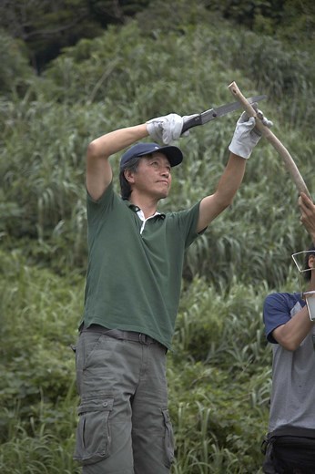 How to Graft a Crape Myrtle Tree