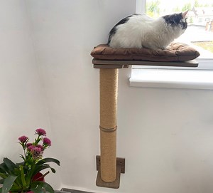 Cat Window Perch, Cat Shelves, Window Cat Bed With Scratching Post, Cat Wall Furniture Natural Wood, Cat Bed Wall, Floating Cat Shelf - Etsy