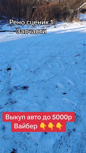 Рено Сценик 1: Проблемы и детали автохлама