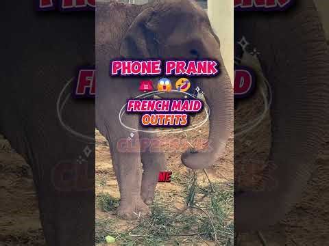 I want to wear a French Maid Outfit while cleaning and you video tape me 📹 #frenchmaid #outfit