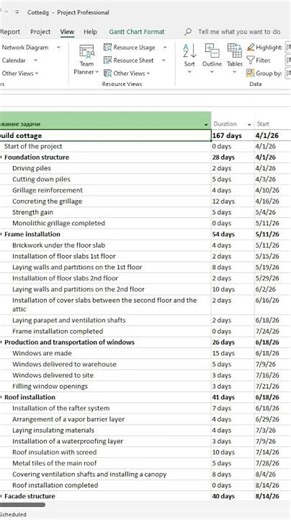 How to print the current view in MS Project Pro? #oberemokii #microsoftproject