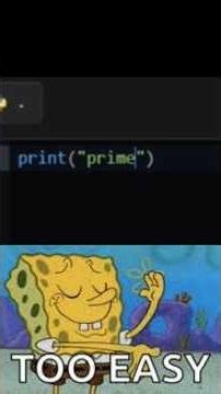 noob vs. pro vs. hacker how to print prime coder #coding
