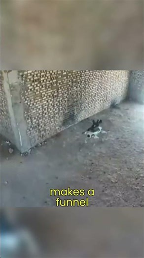 Robot Dog vs Soldiers in Intense Combat Training