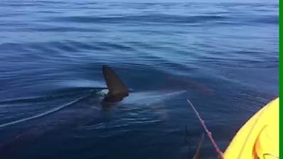 3.2M views · 2.2K reactions | A kayaker took this video of the...