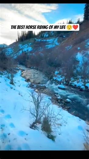 best 😉 #shortvideos #horseriding #mountain #traveling #short