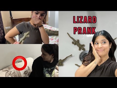 Fake Chhipkali Prank with my family 🤣 Everyone got scared
