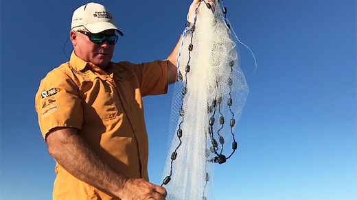 Catching live bait with a cast net - Louisiana Sportsman