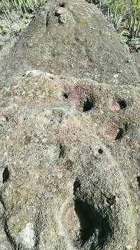 GUANCHES OF THE CANARY ISLANDS: THE ENIGMA OF THEIR ANCESTRAL BOWLS