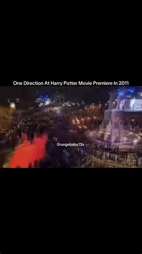 Harry Potter Premiere Moments with One Direction