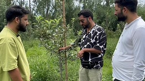 148K views · 1.5K reactions | Reasons for delay in Sampling in vigorous rootstocks. | The Garden Guardians, Kashmir. | Facebook
