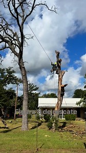 158 reactions · 8 comments | Figura 8 de rescate Amaya Tree Service, LLC 9366614319 #roperunervertc #ExpertTreeServices #safetyfirst #arborists | Carlos Villanueva | Facebook