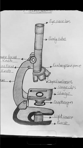 🔬 Learn How to Draw a Microscope Step by Step | Easy Science Drawing for Students ✏️