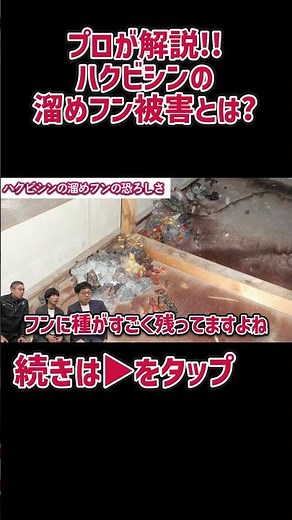 ハクビシンの溜めフン被害とは？ #駆除ザウルス