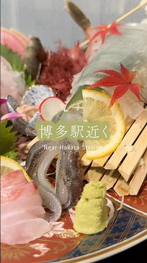 【福岡グルメ】博多駅からすぐ‼️鮮度抜群、ボリュームたっぷりのイカの活き造りが食べたいならココ！鶏刺や和牛の一人鍋もついた飲み放題が6,000円？ #博多駅 #福岡グルメ #fukuoka