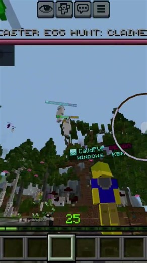 my identity was stolen in minecraft