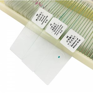 [Hot Item] 50PCS Mixed Medical Biological Prepared Slide Set for Laboratory Microscope Glass Slides