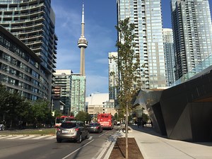 Toronto restaurants see surge as Blue Jays fans flock to watch playoff games
