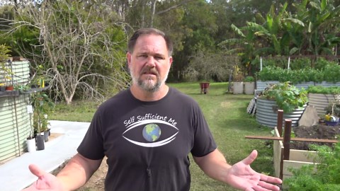 Top 5 benefits of raised garden beds: easier, healthier & more productive gardening!