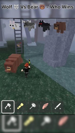 Wolf 🐺 Vs Bear 🐻 – Who Wins? | 99 Nights Survive Forest #roblox