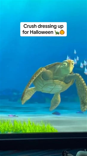 Part 569 #turtletalkwithcrush #turtletalk #funny #turtle #disney #talkshow #kids #ask #reelsvideo #viralvideo #fypシ゚viral #Halloween | EPCOT Turtle Talk with Crush