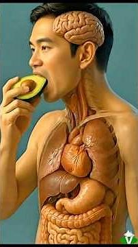 Do you know what actually happens in your body when you eat avocado every day? #nutrition #health...
