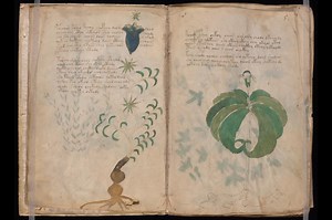 ‘Alien’ manuscript from 15th century decoded using AI