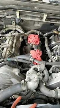 96 isuzu rodeo cranks but wont start