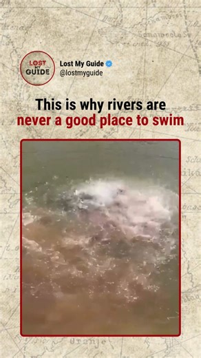 Adventure | Exploration | Adrenaline on Instagram: "This page explores the world beyond limits Rivers may look calm on the surface, but they’re full of life below. Fish, turtles, crocodilians, and scavengers react instantly to movement, smell, or splashes. What looks like “nothing happening” can turn active in seconds. Strong currents, poor visibility, sudden depth changes, and wildlife make rivers far more unpredictable than lakes or the ocean. Many animals stay hidden until food or disturbance