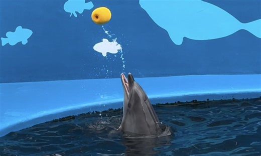仙台うみの杜水族館編