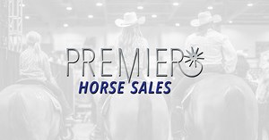 Montana Sale Horses - PREMIER HORSE SALES