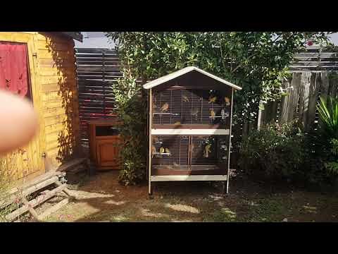 Fabrication voliere exterieur