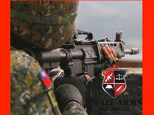 The Taiwanese T91 Rifle and Custom Build