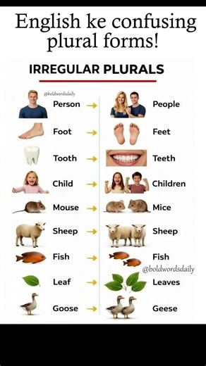 English ke confusing plural forms. Janiye irregular plurals ke examples. 📚😲