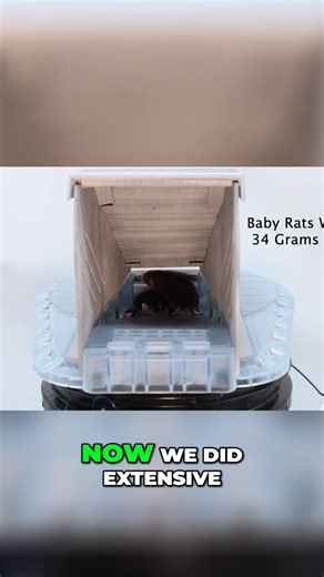 🎵 Gotta catch ‘em all… 🎵 Only this time, it’s not Pokémon—it’s rats, squirrels, and chipmunks. Vulcan is your ultimate rodent-catching machine: 🪤 Catches 30 pests 🔁 Auto-resets after every catch 🧒👶 Kid- and pet-safe ☠️ No poison ✅ Humane or lethal—your choice Why waste time with basic traps when you can upgrade to beast mode? Shop Vulcan now! | Vulcan Pest