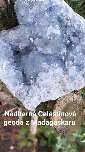 Milan Dvořák on Reels | Facebook