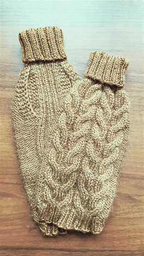 Stylish Sweaters for Dogs: A Fashionable Guide