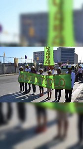 13K views · 595 reactions | From a small spark in 2012, God planted a...