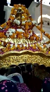 2.6K views · 1.3K reactions | 20 Feb Today early morning darshan of palki sahib from Sri Darbar Sahib | Golden Temple | Facebook