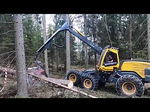 EcoLog 590F handling 4 cbm spruce with LogMax 7000