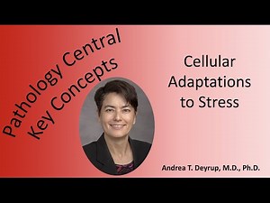 Medical School Pathology: Cellular Adaptations to Stress